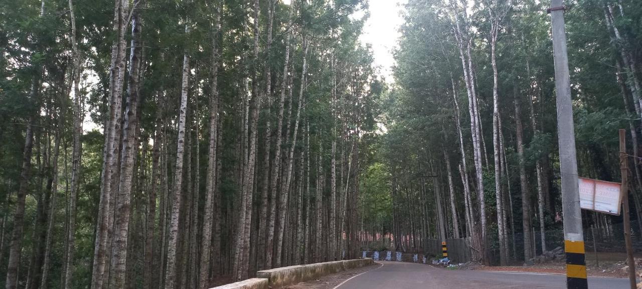 Istays - Loop Road, Yercaud Exteriér fotografie