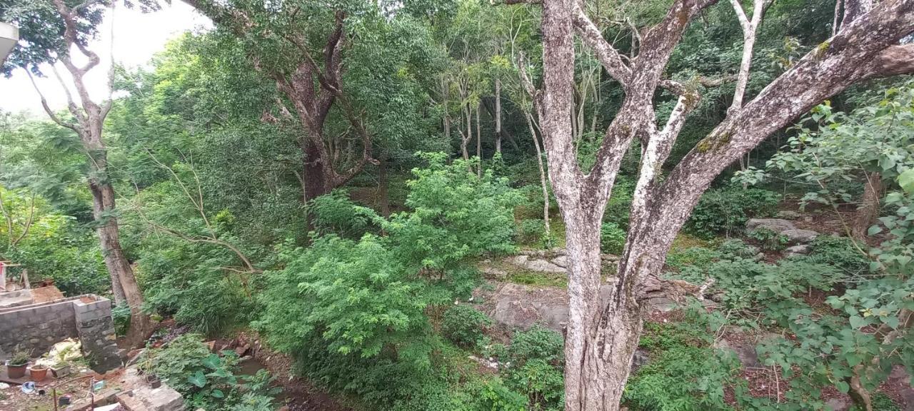 Istays - Loop Road, Yercaud Exteriér fotografie