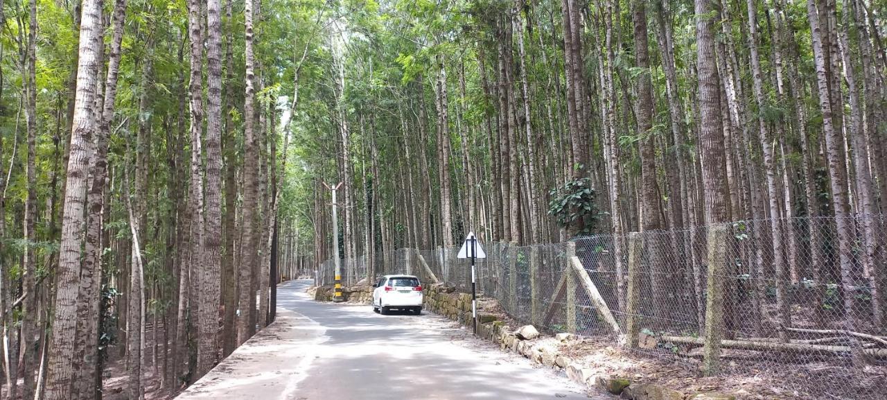Istays - Loop Road, Yercaud Exteriér fotografie