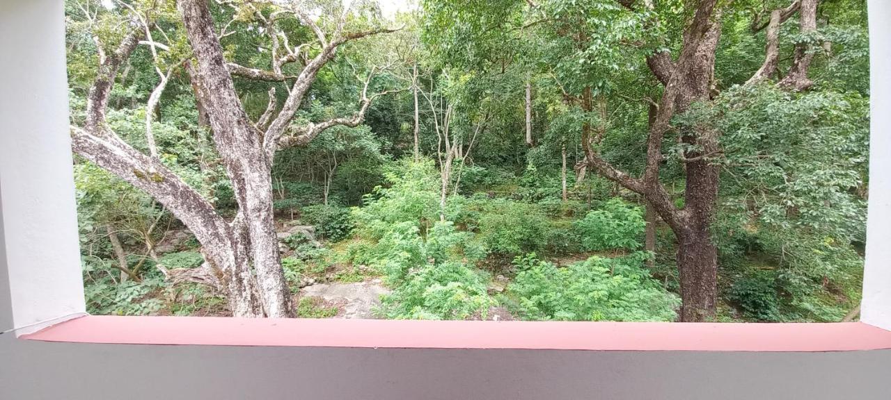 Istays - Loop Road, Yercaud Exteriér fotografie
